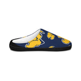"GO SCOTTIES" House Slides